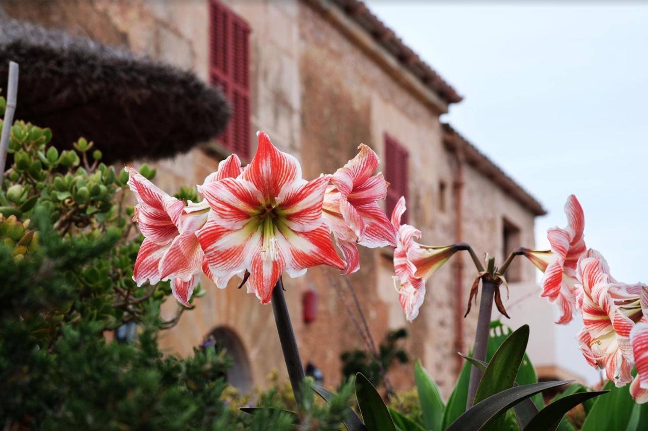 Finca Hotel Ses Cases Noves Sant Llorenc Des Cardassar Exteriér fotografie