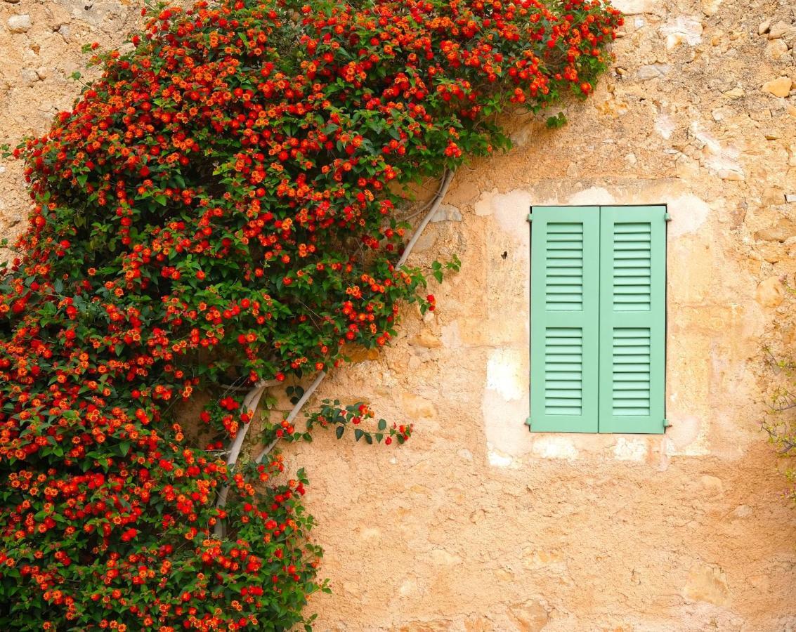 Finca Hotel Ses Cases Noves Sant Llorenc Des Cardassar Exteriér fotografie