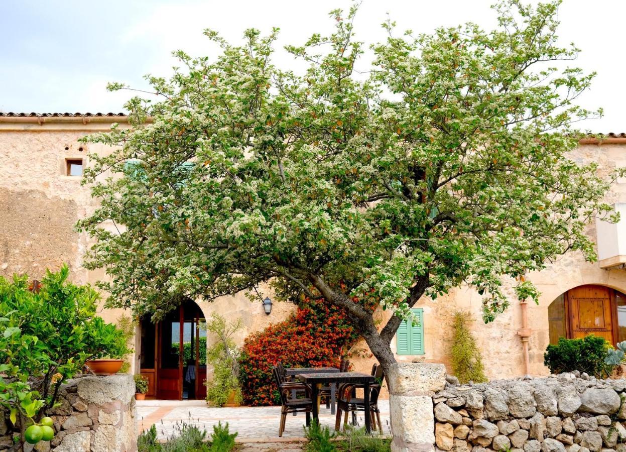 Finca Hotel Ses Cases Noves Sant Llorenc Des Cardassar Exteriér fotografie
