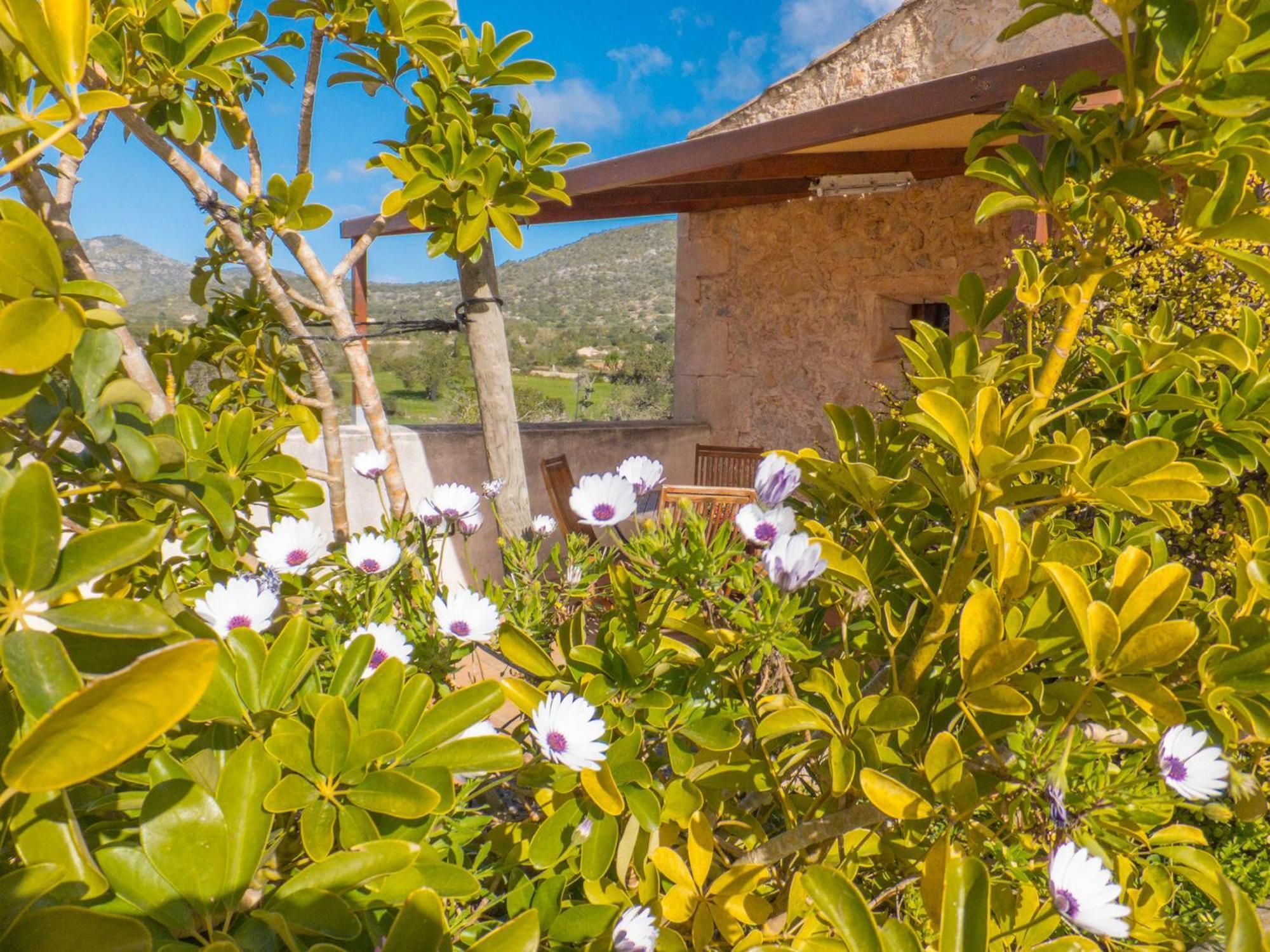 Finca Hotel Ses Cases Noves Sant Llorenc Des Cardassar Pokoj fotografie